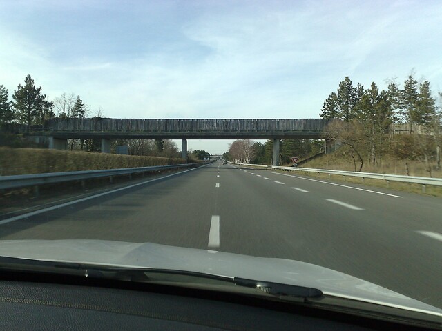 Passage animaux sur A10